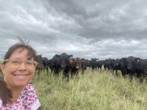 aberdeen angus 2